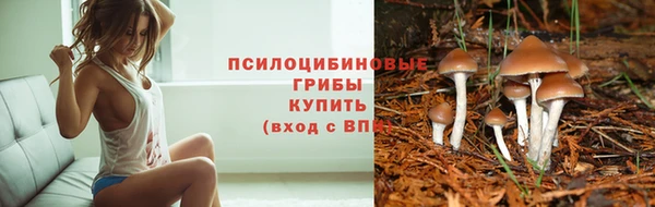 не бодяженный Переславль-Залесский